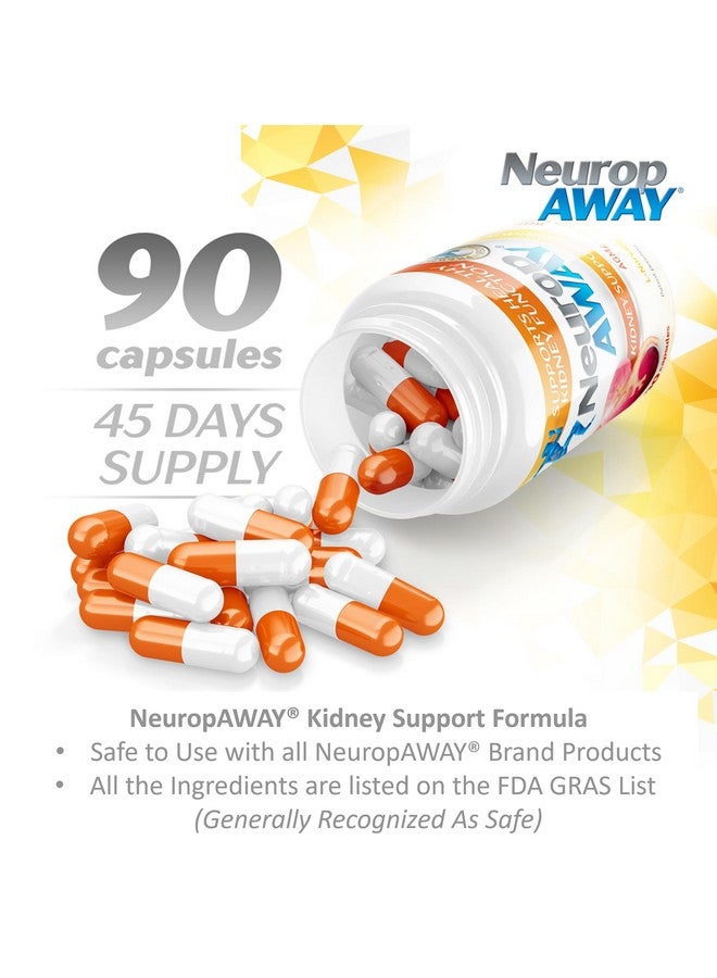 NeuropAWAY Kidney Support Formula Sugar Free with Agmatine Sulfate 500mg L-Novaline 50mg L-Ornithine 150mg L-Citrulline 100mg Per Capsule 90CT Fast Acting Kidney Support - Image 3