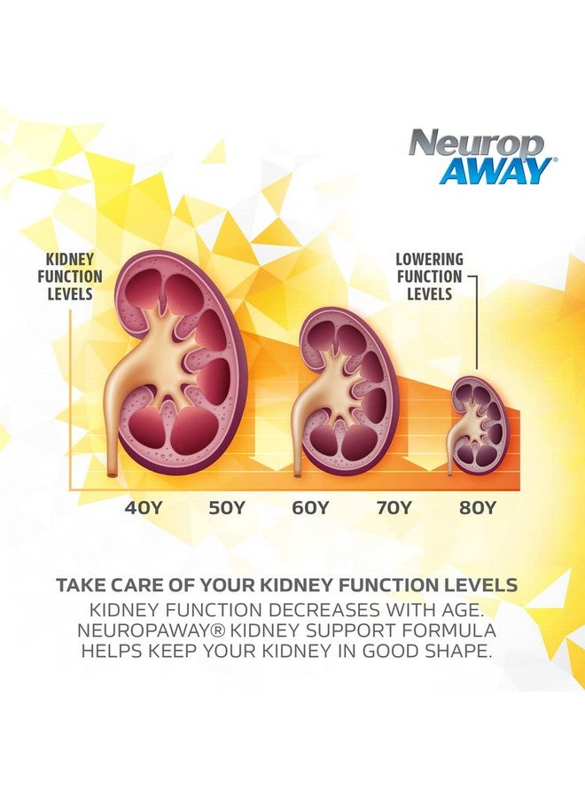 NeuropAWAY Kidney Support Formula Sugar Free with Agmatine Sulfate 500mg L-Novaline 50mg L-Ornithine 150mg L-Citrulline 100mg Per Capsule 90CT Fast Acting Kidney Support - Image 4