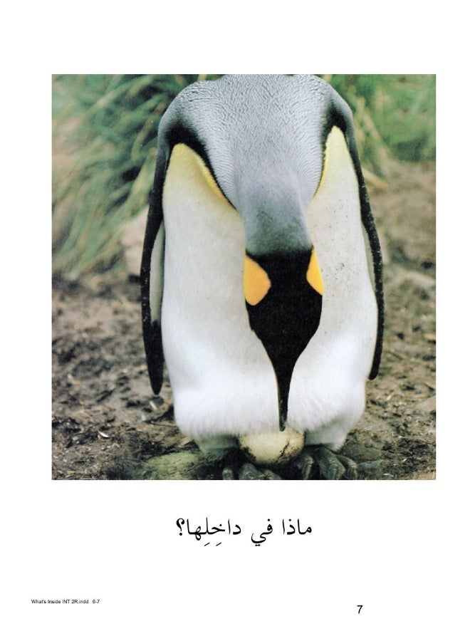 Malwhats Inside - Image 2