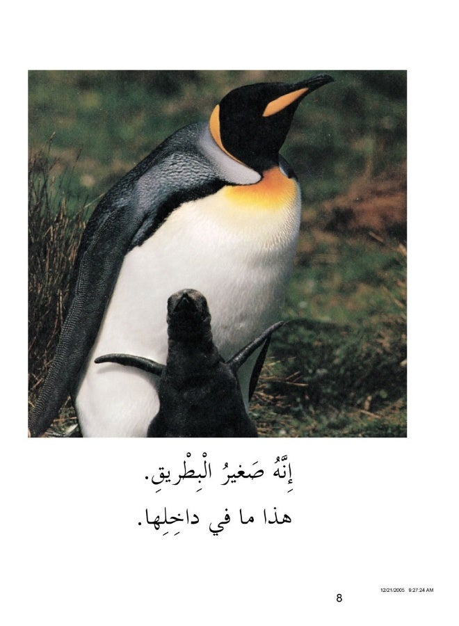 Malwhats Inside - Image 3