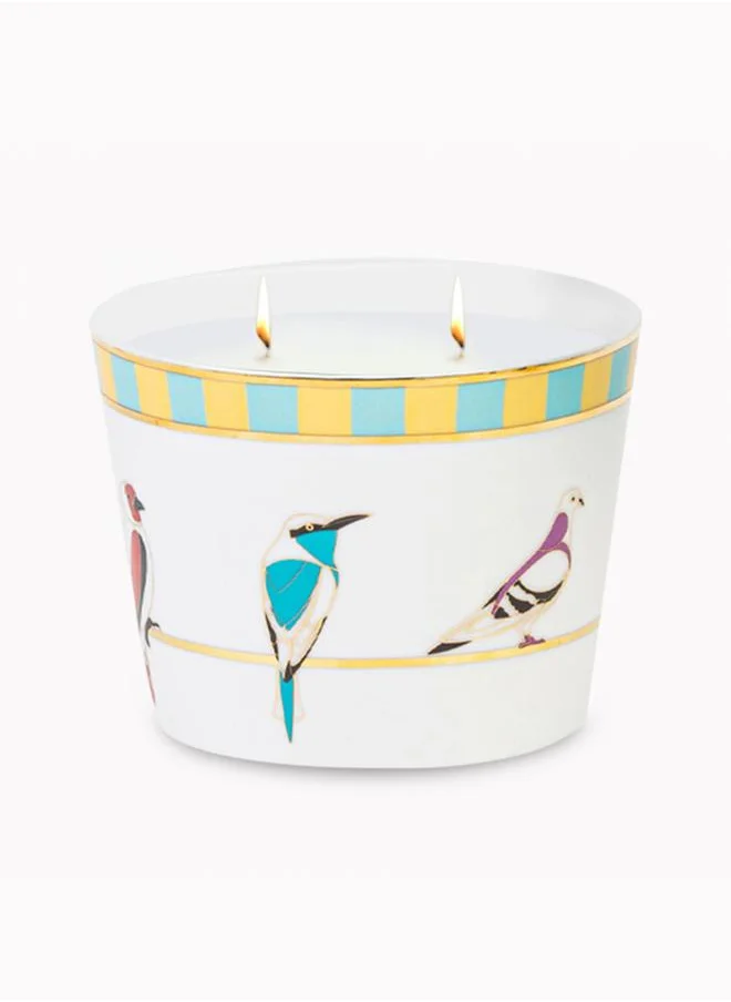 Silsal Sarb Naseem Candle - 500g