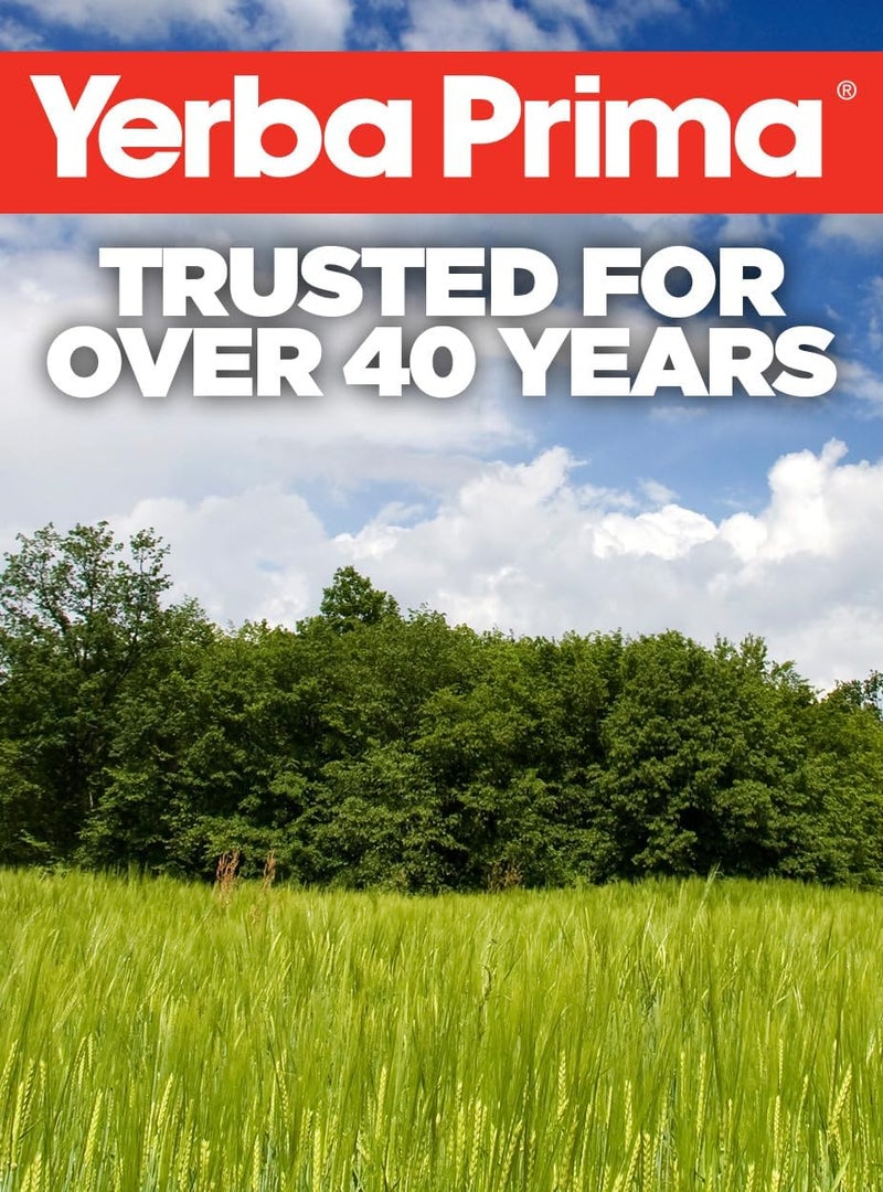 Yerba Prima Fiber Plus Powder Apple Spice - 12 Oz - Image 4