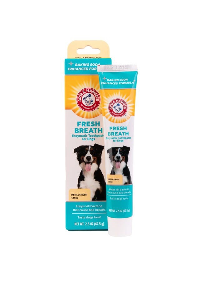 Arm & Hammer معجون أسنان إنزيمي للعناية السريرية بالحيوانات الأليفة للكلاب يهدئ اللثة الملتهبة آمن للجرو 1 عبوة نفس منعش فانيليا زنجبيل (عبوة من 1) - Image 1