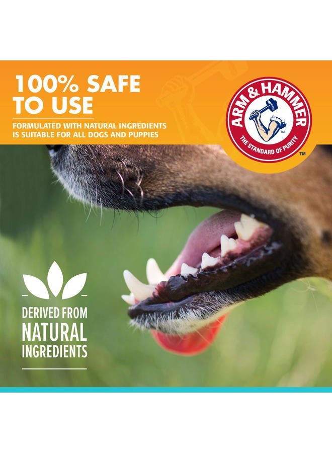 Arm & Hammer معجون أسنان إنزيمي للعناية السريرية بالحيوانات الأليفة للكلاب يهدئ اللثة الملتهبة آمن للجرو 1 عبوة نفس منعش فانيليا زنجبيل (عبوة من 1) - Image 4