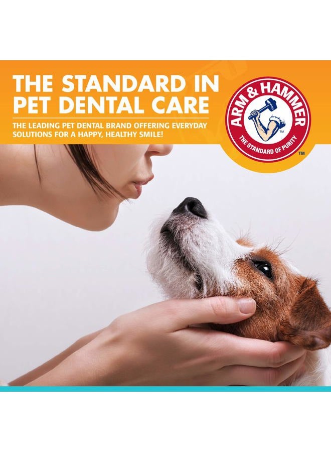 Arm & Hammer معجون أسنان إنزيمي للعناية السريرية بالحيوانات الأليفة للكلاب يهدئ اللثة الملتهبة آمن للجرو 1 عبوة نفس منعش فانيليا زنجبيل (عبوة من 1) - Image 5