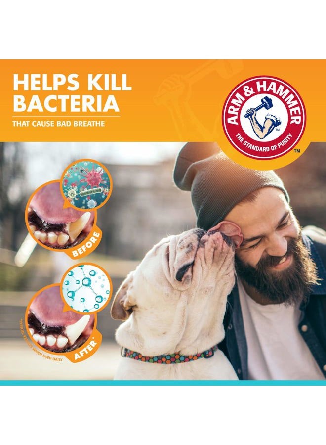 Arm & Hammer معجون أسنان إنزيمي للعناية السريرية بالحيوانات الأليفة للكلاب يهدئ اللثة الملتهبة آمن للجرو 1 عبوة نفس منعش فانيليا زنجبيل (عبوة من 1) - Image 3