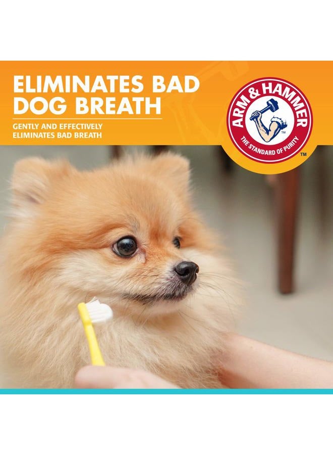 Arm & Hammer معجون أسنان إنزيمي للعناية السريرية بالحيوانات الأليفة للكلاب يهدئ اللثة الملتهبة آمن للجرو 1 عبوة نفس منعش فانيليا زنجبيل (عبوة من 1) - Image 2