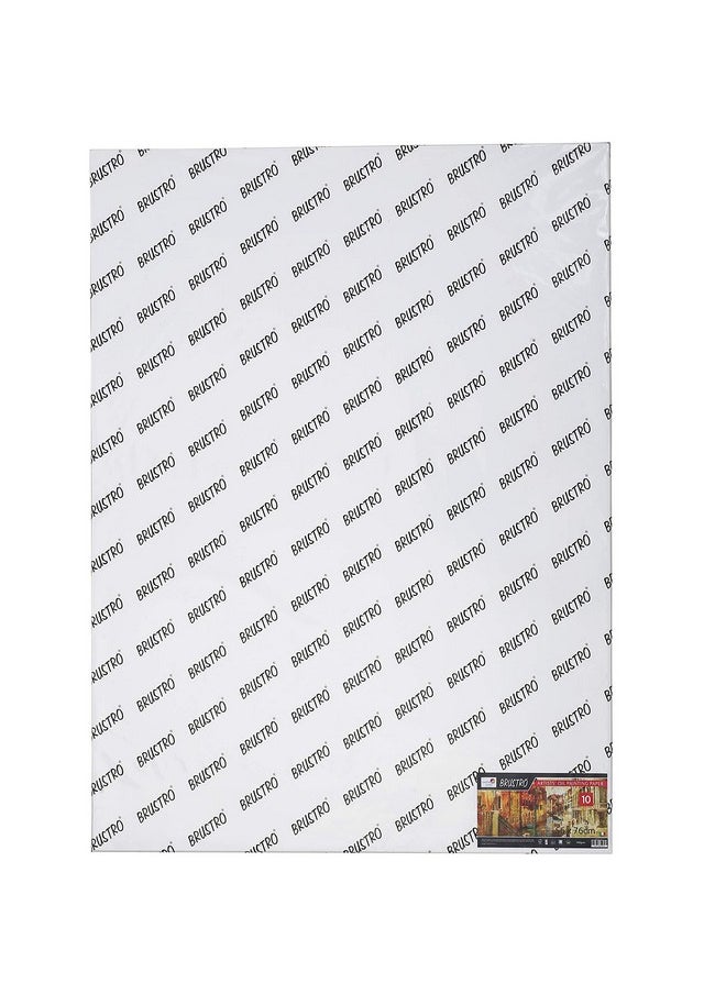 بروسترو - ورق الرسم الزيتي من Brustro Artists، 300 جرام لكل متر مربع، مقاس 56 × 76 سم، 10 ورقات - Image 1