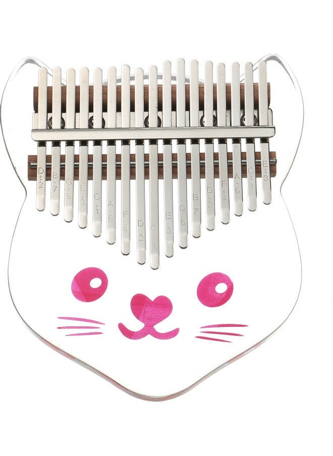 NIBEMINENT Thumb Piano And Finger Guard Set  - Image 1