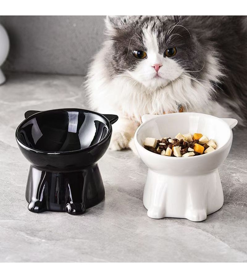 Elevated Anti Spill Pet Bowl 15° Tilt Black Raised Feeding Dish for Cats Small Dogs - Image 4