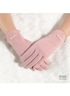 Autumn Winter Velvet Gloves Thermal Fleece Windproof Touchscreen Women DY43 grapefruit powder