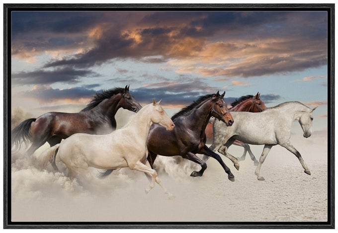 FRAMED CANVAS PRINT WALL ART BROWN WHITE HORSE GROUP AT SUNSET ANIMALS WILDLIFE PHOTOGRAPHY MODERN ART SOUTHWEST SCENIC RELAXCALM WARM FOR LIVING ROOM BEDROOM OFFICE 16X24 BLACK