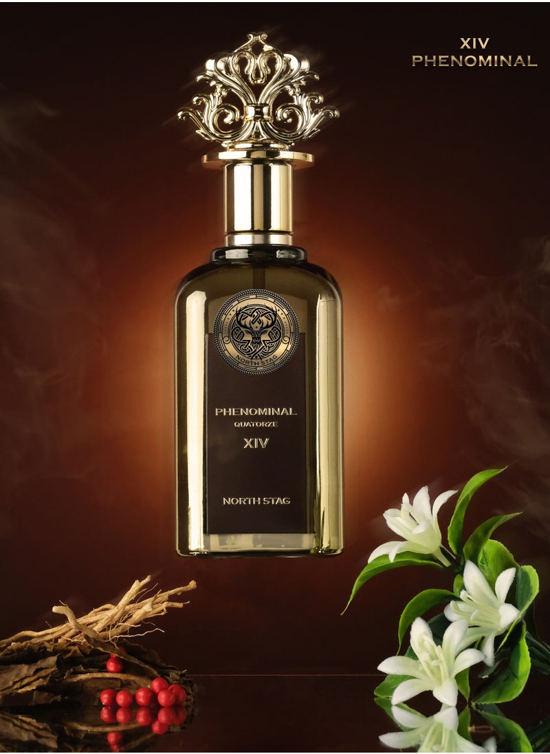 PARIS CORNER NORTH STAG-PHENOMINAL QUATORZE XIV 100ML BY PARIS CORNER  - Image 2