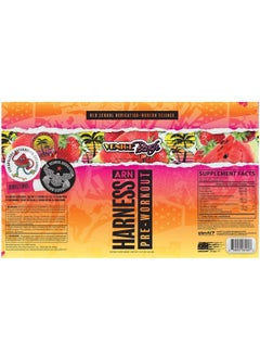 ARN ARN Harness Pre-Workout Drink Venice Beach Flavor 12 x 355ml  - Image 2