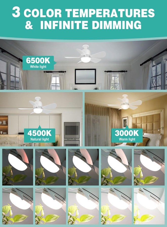 HK Socket Fan Light Small Ceiling Fan With Light and Remote, 20 Inch Screw-in for E26/E27 Base, 5 Speed Dimmable Mini for Bedroom Kitchen and Small Rooms, White - Image 3