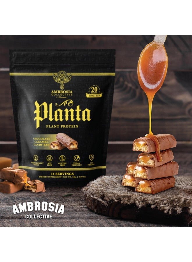 Ambrosia Planta - Premium Organic Plant-Based Protein | Vegan & Keto Friendly | Gourmet Flavors with No Bloating or Stomach Upset | Gluten & Soy Free | No Added Sugar | 14 Servings | (Candy Bar) - Image 4
