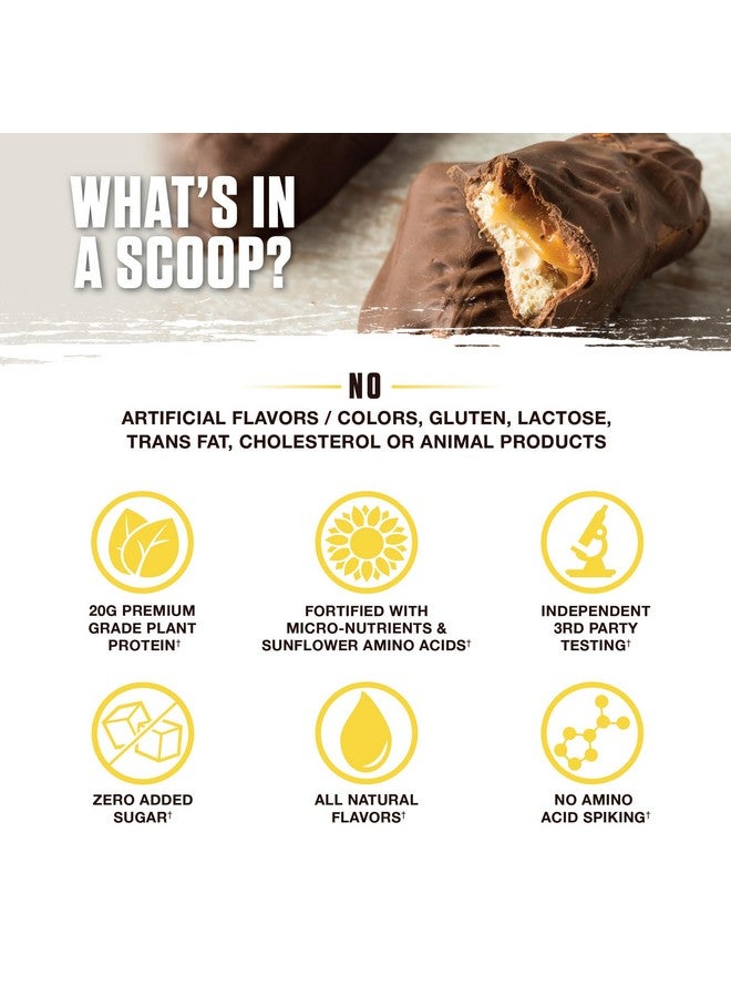 Ambrosia Planta - Premium Organic Plant-Based Protein | Vegan & Keto Friendly | Gourmet Flavors with No Bloating or Stomach Upset | Gluten & Soy Free | No Added Sugar | 14 Servings | (Candy Bar) - Image 3