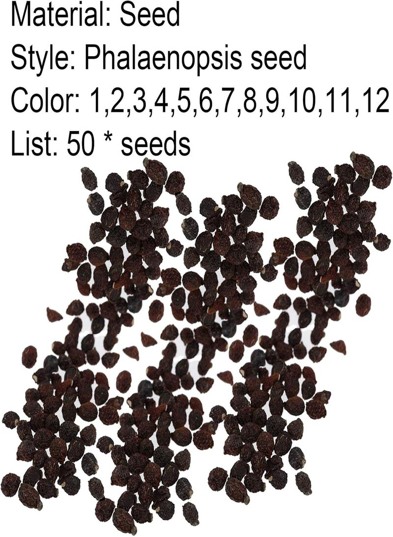 جي جوت 50 قطعة/كيس من بذور الفالينوبسيد المزروعة في أصيص، بذور سريعة الإنبات وصديقة للبيئة للاستخدام المنزلي، 8 بذور فالاينوبسيس - Image 2
