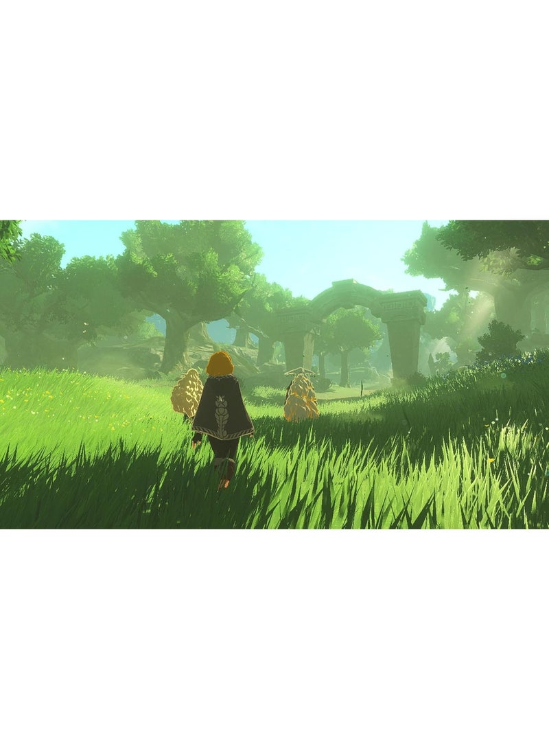 Nintendo Hyrule Warriors: Age of Imprisonment - Nintendo Switch 2 - nintendo_switch - Image 5