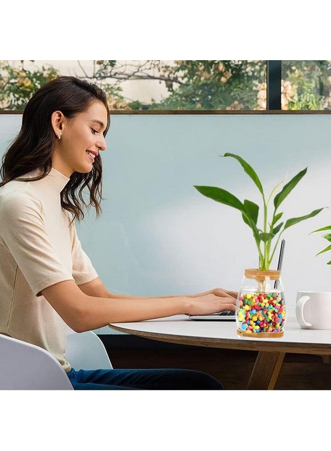 VAYINATO Decorative Mixed Peables Colour Stone For Aquarium Fish Tank And Indoor Home Decoration And Garden Decor (2.2 Lbs Pack) By Petzlifeworld - Image 5