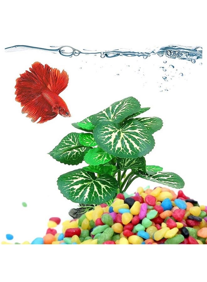 VAYINATO Decorative Mixed Peables Colour Stone For Aquarium Fish Tank And Indoor Home Decoration And Garden Decor (2.2 Lbs Pack) By Petzlifeworld - Image 2