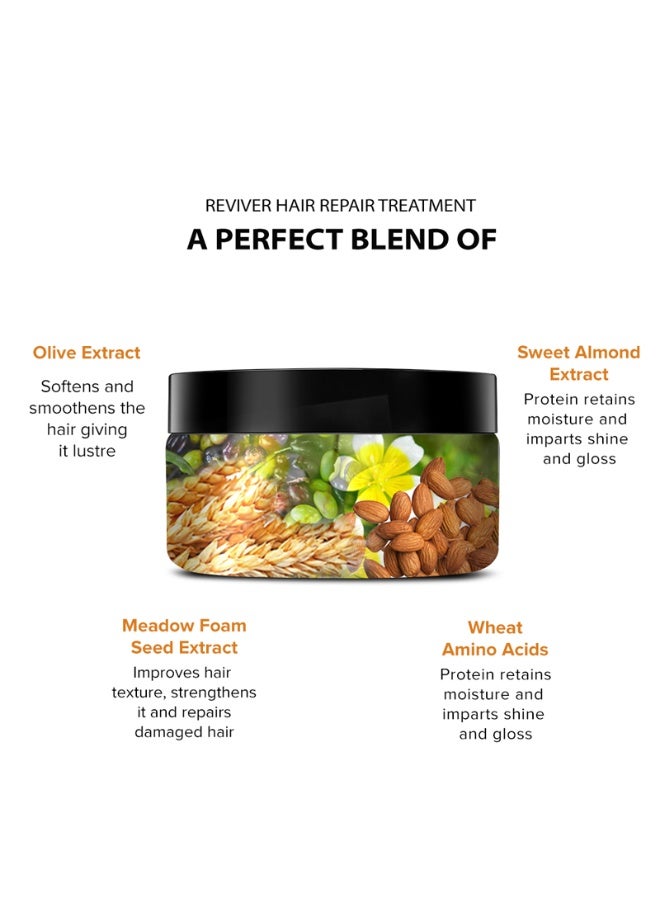 De Fabulous Reviver Hair Repair Treatment 250 ml - Image 2