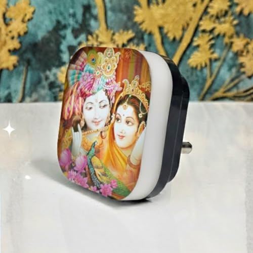 HOARD Devine Series Night Lamp 0.5W LED Plug-in Light for Pooja Room (Radha Krishna) - Image 2