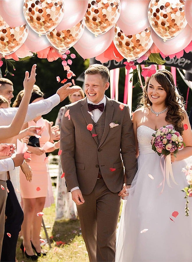 Haidue 44PCS Rose Gold Birthday Party Decoration Set Rose Gold Theme Party Decoration Happy Birthday Banner DIY Decoration Set - Image 3