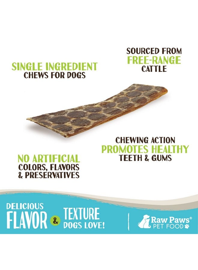 Raw Paws Beef Esophagus Dog Treats, 6-inch, 16-Ounce - Packed in USA - Free Range Beef Esophagus for Dogs - Beef Gullet Sticks for Dogs - Dog Taffy Chews - Beef Jerky for Dogs - Beef Jerky Dog Treats - Image 2