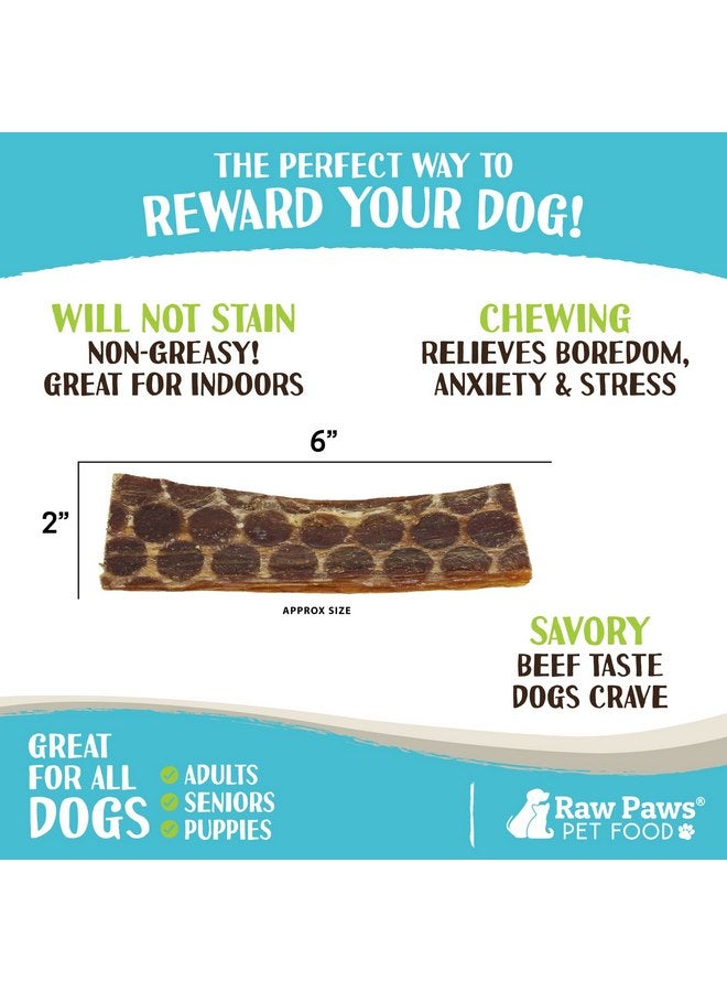 Raw Paws Beef Esophagus Dog Treats, 6-inch, 16-Ounce - Packed in USA - Free Range Beef Esophagus for Dogs - Beef Gullet Sticks for Dogs - Dog Taffy Chews - Beef Jerky for Dogs - Beef Jerky Dog Treats - Image 3
