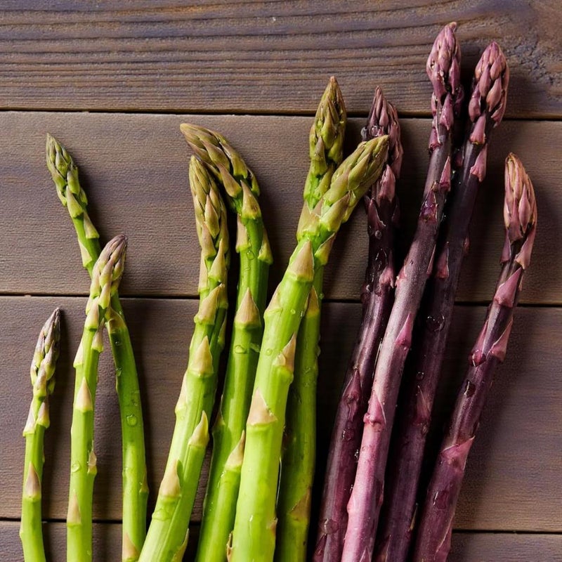 Asparagus Crown Roots for Planting - Premium Quality Easy Grow Vegetable Perennials - Quick Establishment & High Yielding Spears for Kitchen Gardens & Allotments (3, Boonlim) - Image 3
