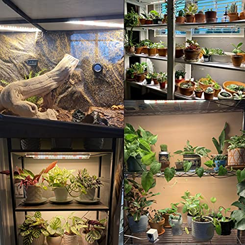 GYTF LED Grow Light Strips, 3500K 90-Bulb Full Spectrum Dimmable Plant Growing Lamp Bars with Auto ON/Off Timer for Indoor Plants Succulents Seeds Starting Hydroponics, Extendable Design - Image 2