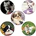 SmileMakers Baby Animals Hypoallergenic Stickers 100pack - Image 3