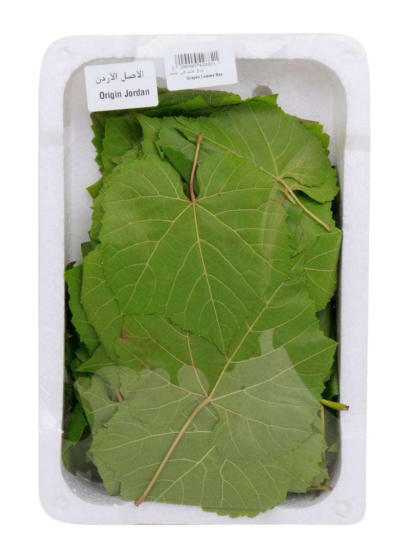 Zahr Grape Leaves (Vine Leaves / Vitis Leaves) – 100% Natural Dried Vine Plant Leaves | Premium Botanical Herb for Traditional Herbal & Gardening Use - Image 4