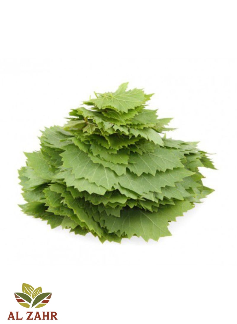 Zahr Grape Leaves (Vine Leaves / Vitis Leaves) – 100% Natural Dried Vine Plant Leaves | Premium Botanical Herb for Traditional Herbal & Gardening Use - Image 1