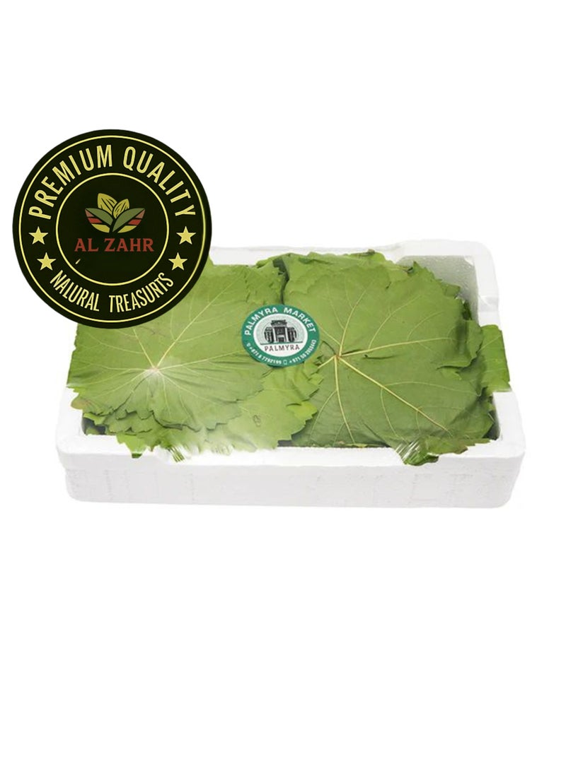 Zahr Grape Leaves (Vine Leaves / Vitis Leaves) – 100% Natural Dried Vine Plant Leaves | Premium Botanical Herb for Traditional Herbal & Gardening Use - Image 3