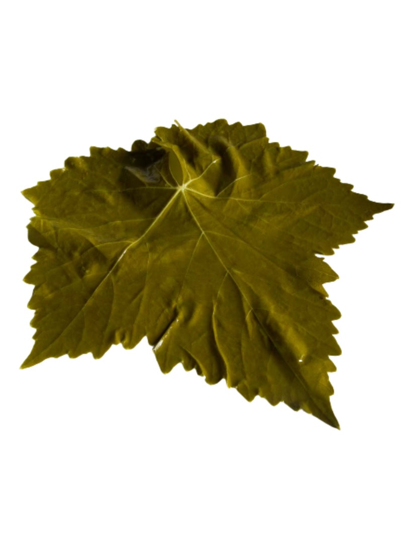 Zahr Grape Leaves (Vine Leaves / Vitis Leaves) – 100% Natural Dried Vine Plant Leaves | Premium Botanical Herb for Traditional Herbal & Gardening Use - Image 5