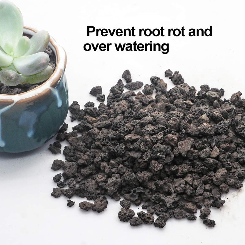 TOYPOPOR Black Horticultural Lava Rock Soil Additive for Cacti Succulents Plants No Dyes or Chemicals 100% Pure Volcanic Rock 2.2LB Top Dressing - Image 3