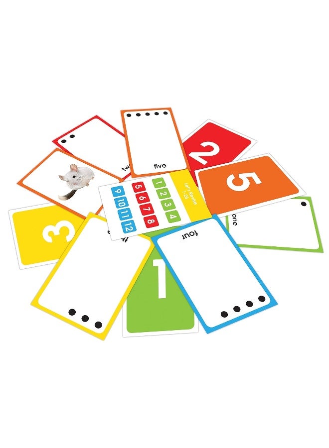 بطاقات فلاش مذهلة للأرقام: تطوير مبكر لطفل الروضة (55 بطاقة) - Image 5