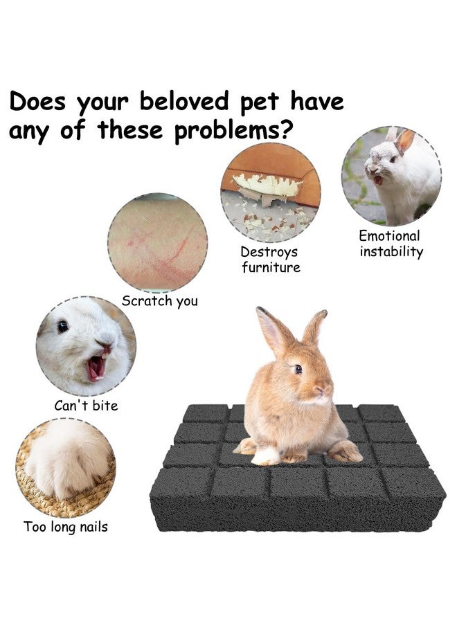 هامليدي Hamiledyi قطعتان من وسادات خدش الأرانب وسادات طحن مخالب الحمم البركانية وسادات أقدام الحيوانات الصغيرة ولوح خدش الهامستر وألعاب المضغ للجربوع والشنشيلة والقنفذ وخنزير غينيا وملحقات القفص - Image 4