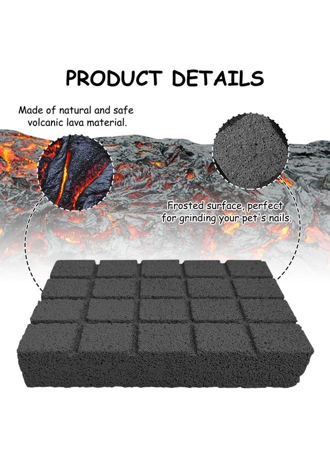 هامليدي Hamiledyi قطعتان من وسادات خدش الأرانب وسادات طحن مخالب الحمم البركانية وسادات أقدام الحيوانات الصغيرة ولوح خدش الهامستر وألعاب المضغ للجربوع والشنشيلة والقنفذ وخنزير غينيا وملحقات القفص - Image 3