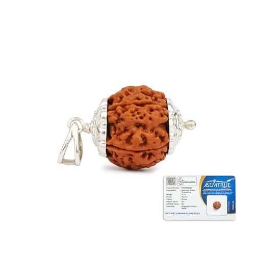 Gemsmantra 6 Mukhi Rudraksha With Pendant in 92.5 Sterling Silver | Regular Size | Original Nepali | Natural and Lab Certified | Enhances Willpower, Confidence, Vitality, and Spiritual Growth For Men & Women - Image 1