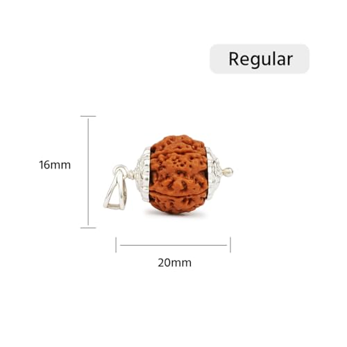 Gemsmantra 6 Mukhi Rudraksha With Pendant in 92.5 Sterling Silver | Regular Size | Original Nepali | Natural and Lab Certified | Enhances Willpower, Confidence, Vitality, and Spiritual Growth For Men & Women - Image 2