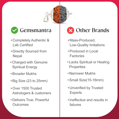 Gemsmantra 6 Mukhi Rudraksha With Pendant in 92.5 Sterling Silver | Regular Size | Original Nepali | Natural and Lab Certified | Enhances Willpower, Confidence, Vitality, and Spiritual Growth For Men & Women - Image 5