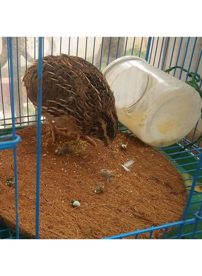 كاثسون 12 قطعة من وسادات تعشيش الطيور من كاثسون، أعشاش تربية الببغاوات، وسادة بيض الطيور، ألياف جوز الهند الطبيعية، مادة عش الطيور، ملحقات تربية الحمام، فراش دافئ ومريح للببغاوات، وسادات تفقيس الطيور - Image 3