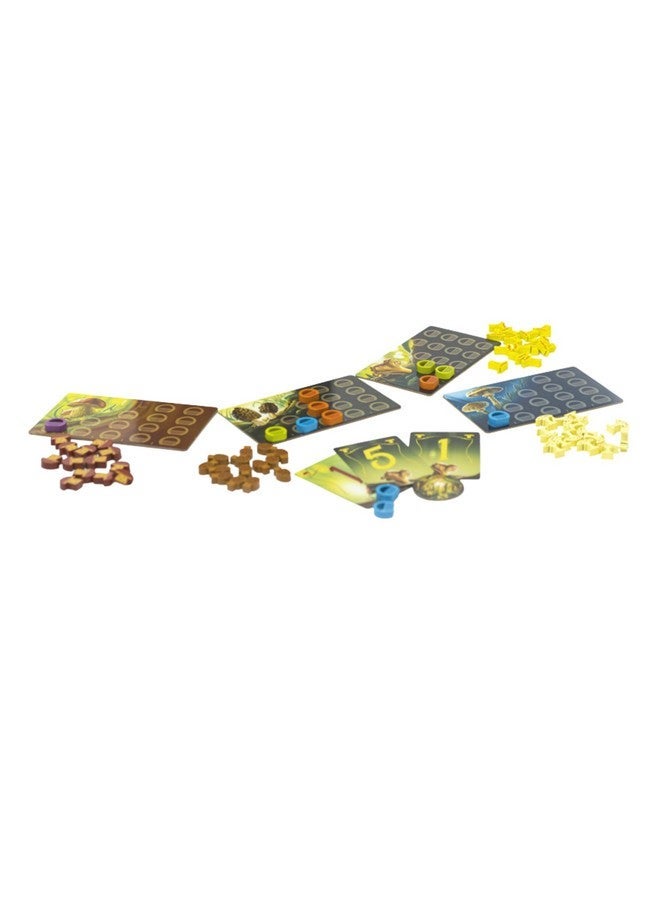 بلو أورانج لعبة Wonder Woods Board Game من Blue Orange Games Family أو Adult Murroom Theme Board Game ل 2 إلى 5 لاعبين.â موصى به للأعمار من 8 سنوات فما فوق. - Image 4