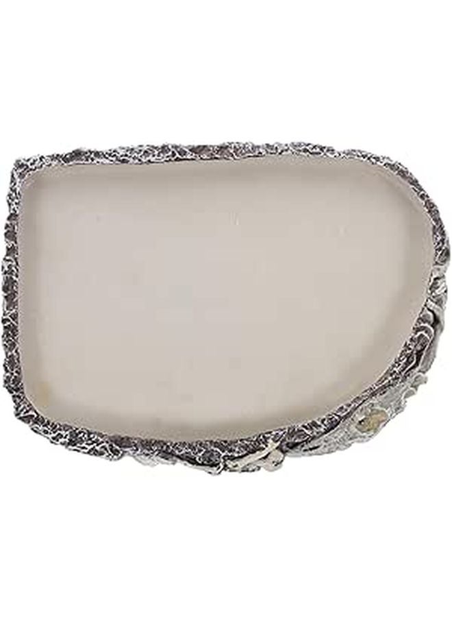 Oval Resin Water Dish Feeding Holder For Reptiles Lizards Tortoises And Snakes - Image 1