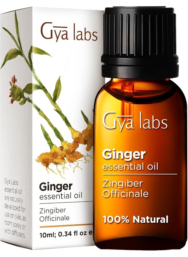 Gya Labs Ginger Oil for Hair Growth - 100% Pure Natural Ginger Essential Oil for Massage Oil - Ginger Oil for Hair Growth, Skin & Diffuser (10 ml) - Image 1