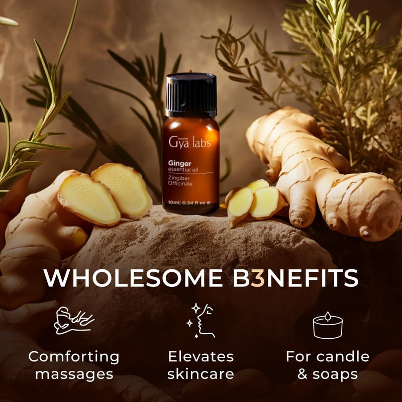 Gya Labs Ginger Oil for Hair Growth - 100% Pure Natural Ginger Essential Oil for Massage Oil - Ginger Oil for Hair Growth, Skin & Diffuser (10 ml) - Image 5