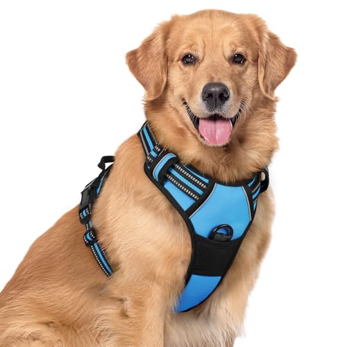 rabbitgoo Dog Harness No Pull with 2 Leash Clips Adjustable Soft Padded Reflective Oxford No Choke Pet Vest with Easy Control Handle for Large Dogs Blue XL